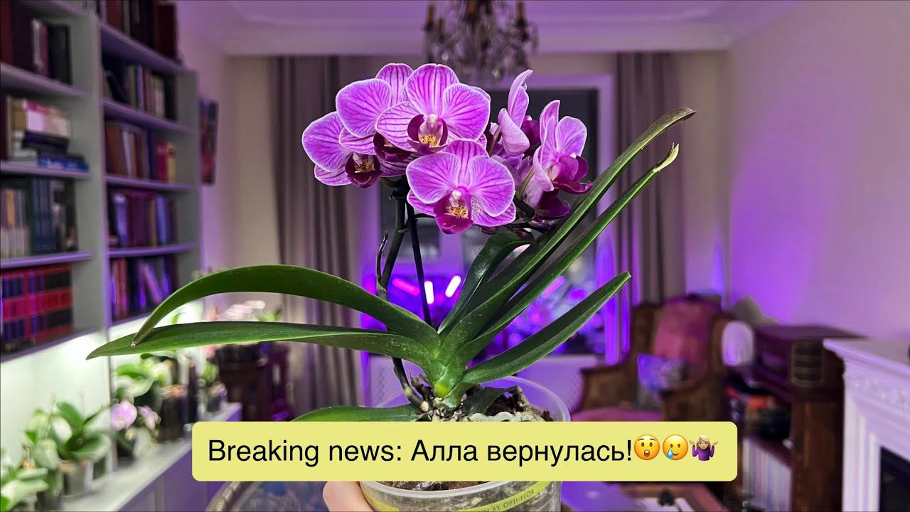 И снова - комментаторы, которых хочется вычеркнуть из жизни! ♀️♀️