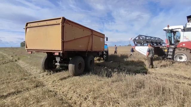 ACROS 550, уборочная 2023. буксуем! смотреть онлайн