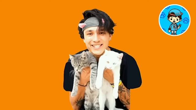 @HolyBaam ХОЛИ БАМ ПЕСНЯ ПРО КОТЯТ (СЛИВ ПЕСНИ)??