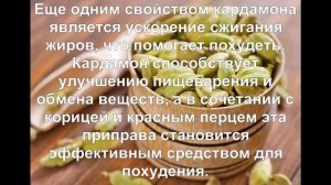 Кардамон.  Полезные свойства и противопоказания.