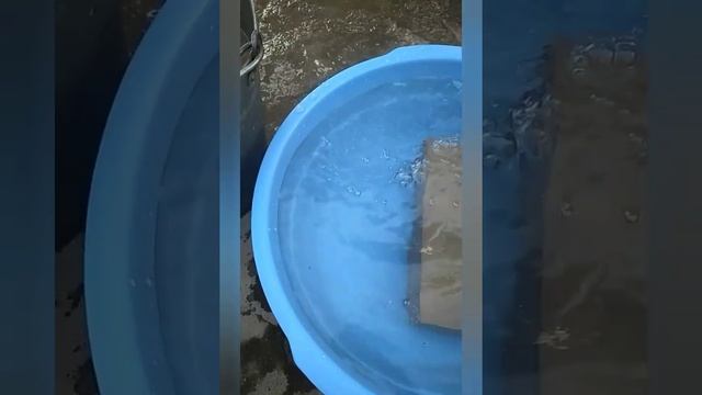 Проверка на водостойкость глиноблока с 10%-содержанием цемента. смотреть онлайн