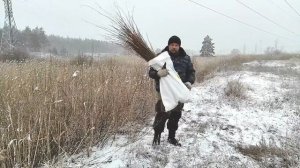 Плетение "Ажурной" корзины. Начало.