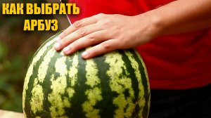 7 лайфхаков Как правильно выбрать арбуз