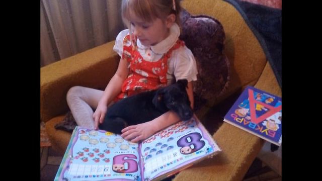 Малыши и Азбука. 1. 12. 2019. смотреть онлайн