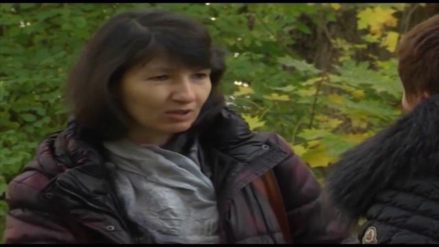 Банкротство застройщика (строительной компании) ООО НПФ Свит ведёт Петербургский дольщик
