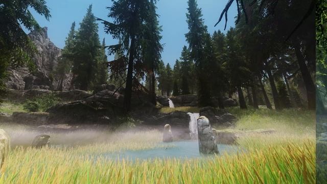 Skyrim Special Edition vs Modded Skyrim (Graphics Comparison in 1440p) смотреть онлайн