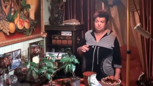 Правильный Уход За  Гибискусом ( Китайской Розой). Уход  Зимой и Летом