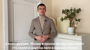 Едят ли мыши пенополиуретан?