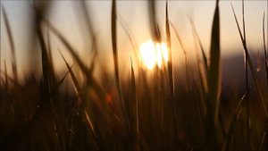 Задаем свою реальность.mp4