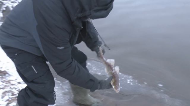 Новогодне-Рождественский Променад...Москва-река...Спиннинг... 2019 г . смотреть онлайн