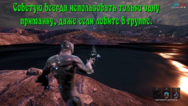 Рыбалка в Варфрейм для начинающих игроков.
