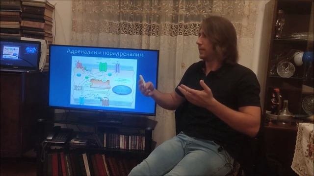 13. Молекулярная физиология - Эндокринная система и оплодотворение (часть 1)