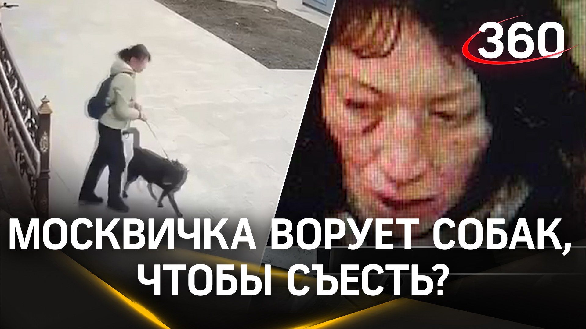 «Ворует собак, чтоб съесть»: москвичи подозревают соседку Танюху в краже животных ради употребления
