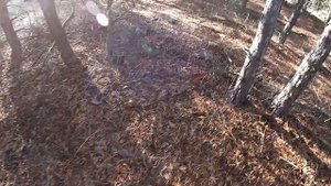 Нашествие грибов! Маслята! Грибы в октябре!