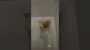 устранение засора в раковине ванной душевой кабине за 3 минуты