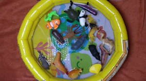 Learn Wild Zoo Animals and Sea Animals For Kids. Toys for Children in the Blue Water Pool