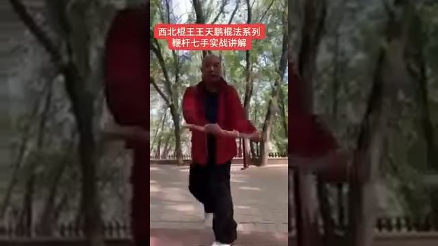 Бяньгань ци шоу юнфа / 鞭杆七手用法 / Применение палки-кнута 7 рук / Bian Gan 7 Hands Application смотреть онлайн