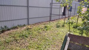 Газонокосилка Gardena и результат  покоса через 3 месяца