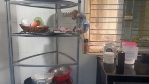 Mom made watermelon jelly for monkey abi