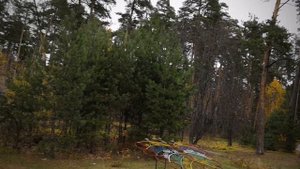 Санаторий Васильевский 2018