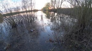 Приехали в НЕРЕСТ КАРАСЯ. С дороги сразу на рыбалку. Карась Орловской области на поплавок.