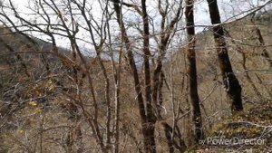 Сочи в декабре. Агурские водопады.