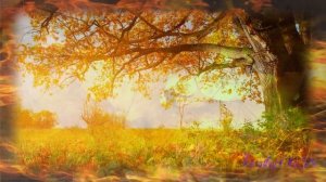 ЛЮДИ ЖГУТ НА КОСТРАХ УХОДЯЩЕЕ ЛЕТО Е Клячкин Исполняет Владимир Захаров