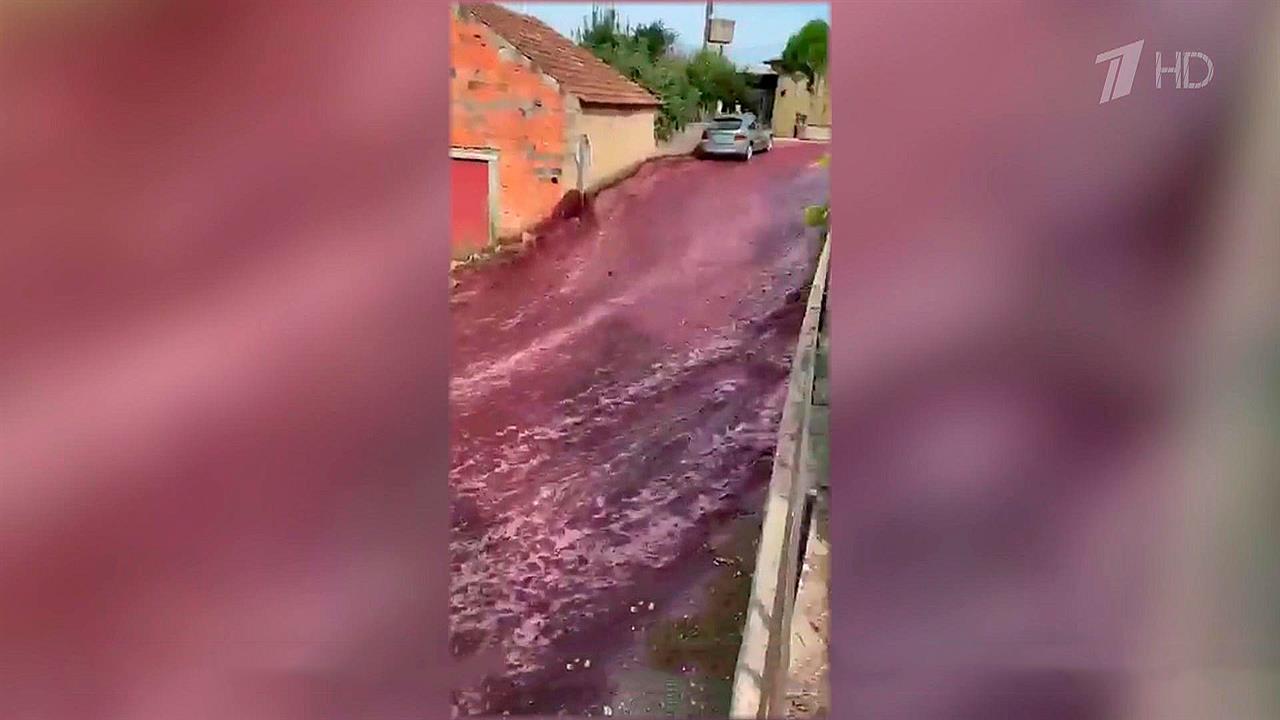 В Португалии на местном заводе вылилось более двух миллионов литров вина