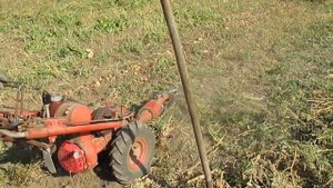 MF-70 Копаем картофель 1