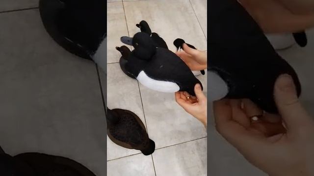 Утиные чучела. Купил новые чучела, пополнение стаи. Минусы полистироловых манишек.