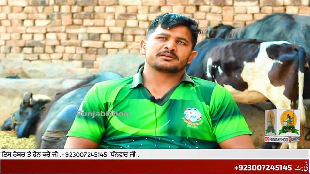 Pakistan Air Force Kabaddi World cup Bilal Mohsin Dhillon | Royal Kings USA смотреть онлайн