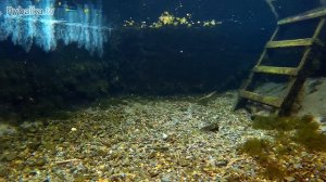 Съедобная резина Keitech Swing Impact. Отводной поводок и джиг