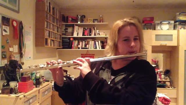 The grey- icon for hire- flute cover смотреть онлайн