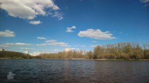 Река Пехорка #russia #moscow #nature