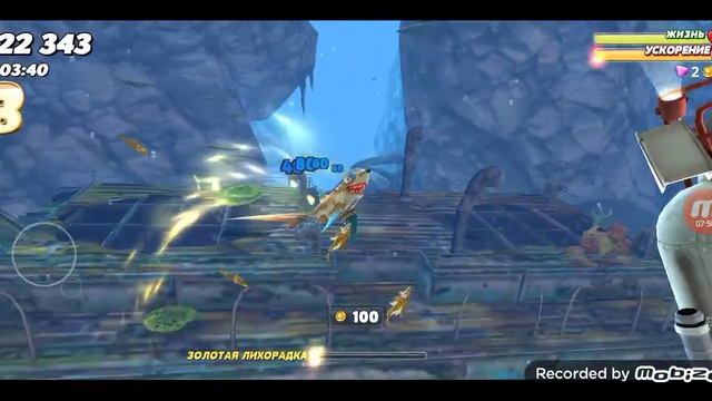 обзор акул в игре hungry shark world - лисья акула