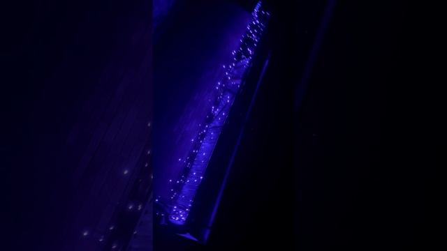 Настроение Новый год!  #shorts
