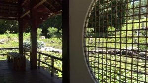 Jardines de Mexico 4K