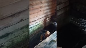 Сятой источник. Веневский район. 12 ключей(1)