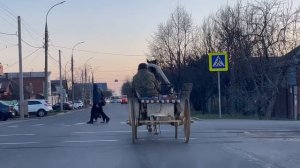 Экологически чистый транспорт Краснодара. Тесла