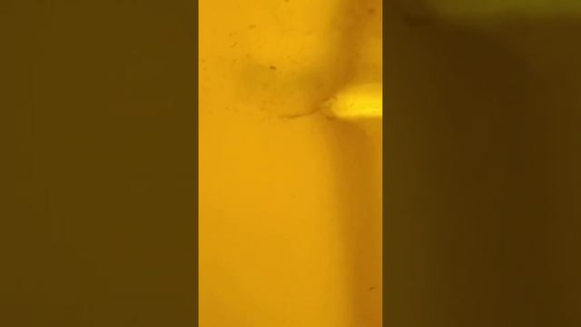 ремонт пластиковой ёмкости сельхоз опрыскивателя смотреть онлайн