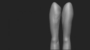 FEMALE BODY ANATOMY STUDY_ ZBRUSH