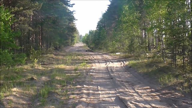 Русская гончая Флейта и Сигнал вл. Ильин В.И. смотреть онлайн