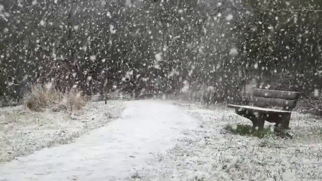 БЕЛЫЙ СНЕГ | МЕТЕЛЬ | СНЕГОПАД НА УЛИЦЕ | СПИМ ПОД ПЕРВЫЙ СНЕГ #snow#winter смотреть онлайн