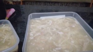 студень из курицы