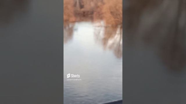 Мост большой другая страна где малинкой мост под водой ушёл .