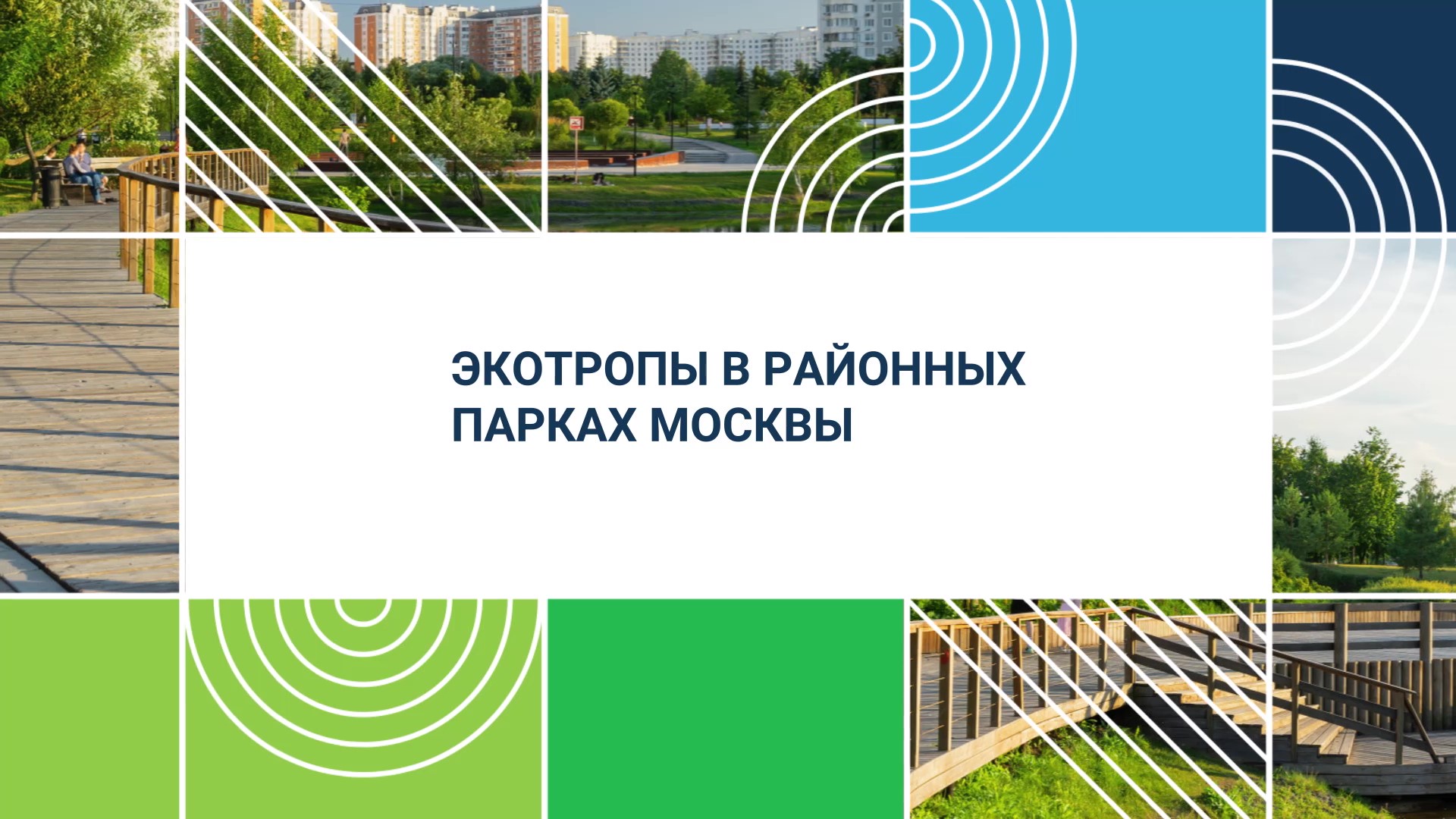 Гуляем по экотропам в московских парках