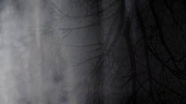 "Одиночество" А. Блок/"Solitude" A. Blok смотреть онлайн