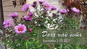 Очередной день на даче | Дача как есть. Хроника 2.10.2021