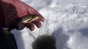 Лыжно-таёжные покатушки. Часть 3