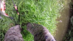 Малая речка, Zetrix Arte ATS-692L и микроколебалки.mp4